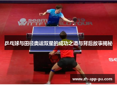 乒乓球与田径奥运双星的成功之道与背后故事揭秘