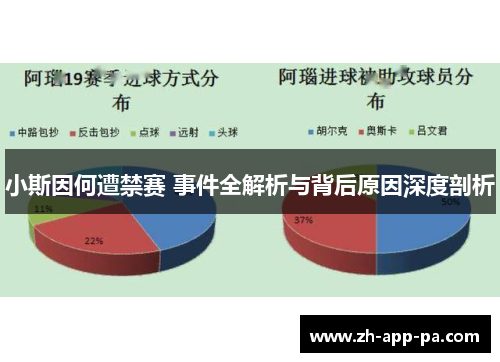 小斯因何遭禁赛 事件全解析与背后原因深度剖析
