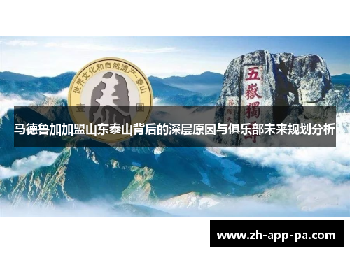 马德鲁加加盟山东泰山背后的深层原因与俱乐部未来规划分析