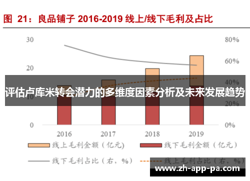 评估卢库米转会潜力的多维度因素分析及未来发展趋势