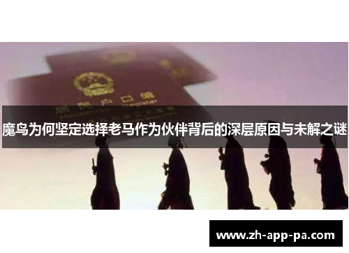 魔鸟为何坚定选择老马作为伙伴背后的深层原因与未解之谜