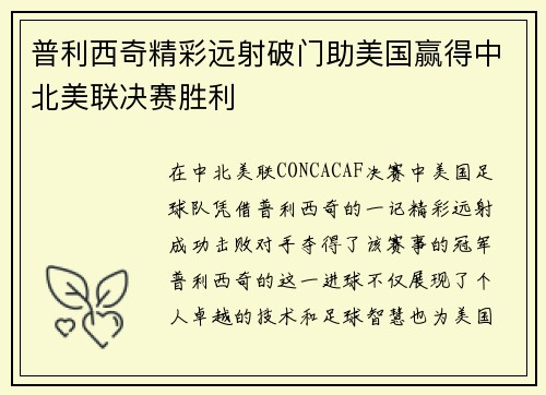 普利西奇精彩远射破门助美国赢得中北美联决赛胜利 普利西奇精彩远射破门助美国赢得中北美联决赛胜利