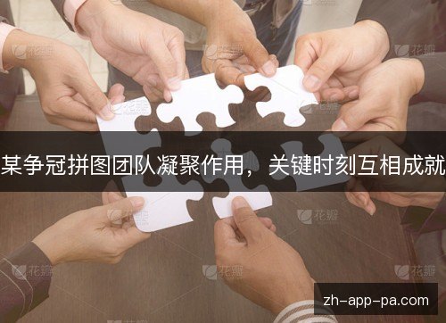 某争冠拼图团队凝聚作用，关键时刻互相成就